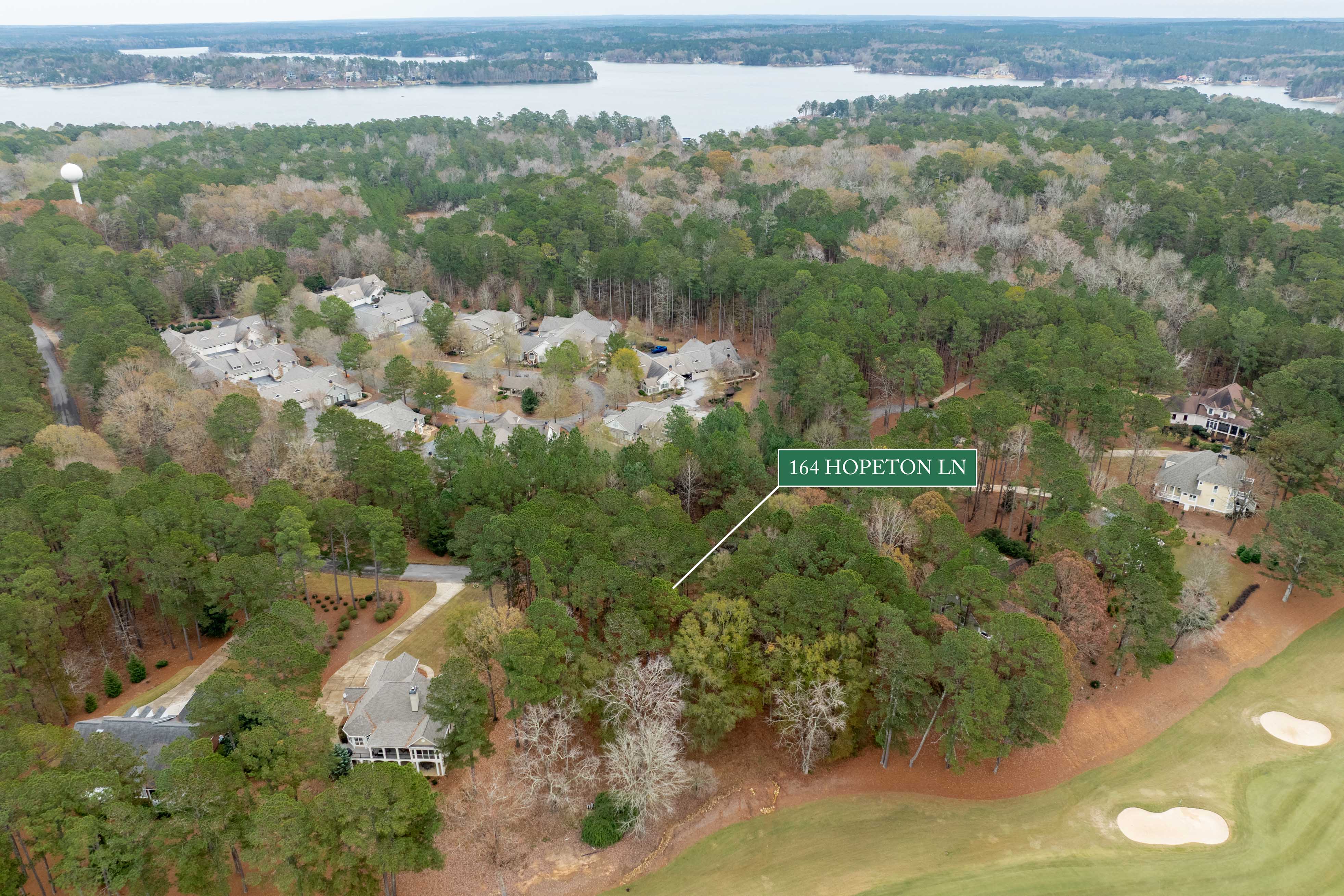 164 Hopeton Lane image 17